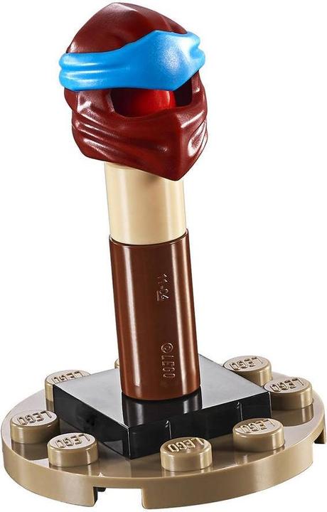 Actual product image LEGO Ninja Temple Training (70680, LEGO Ninjago)
