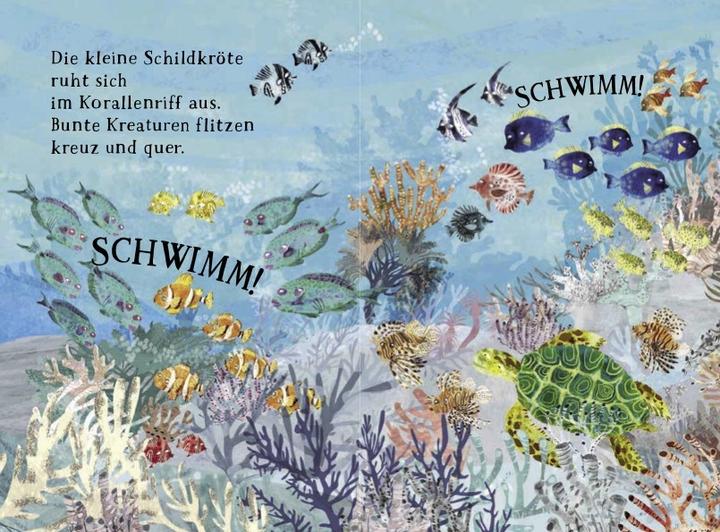 Produktbild Kleine Schildkrte und das blaue Meer (Deutsch, Yuval Zommer, 2025)