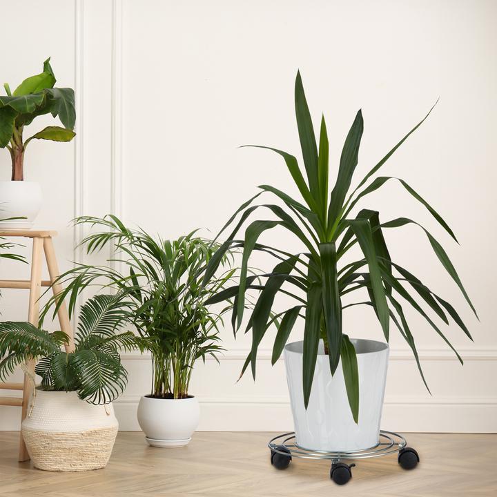 Produktbild Relaxdays Pflanzenroller