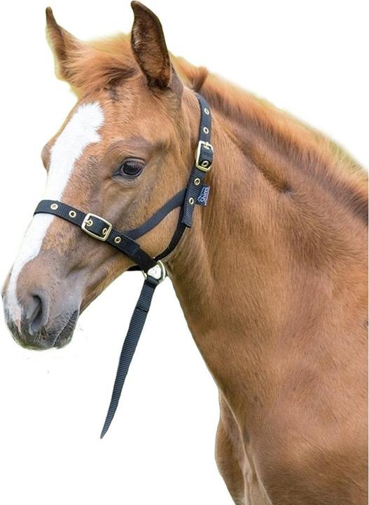 Shires UTER671 P