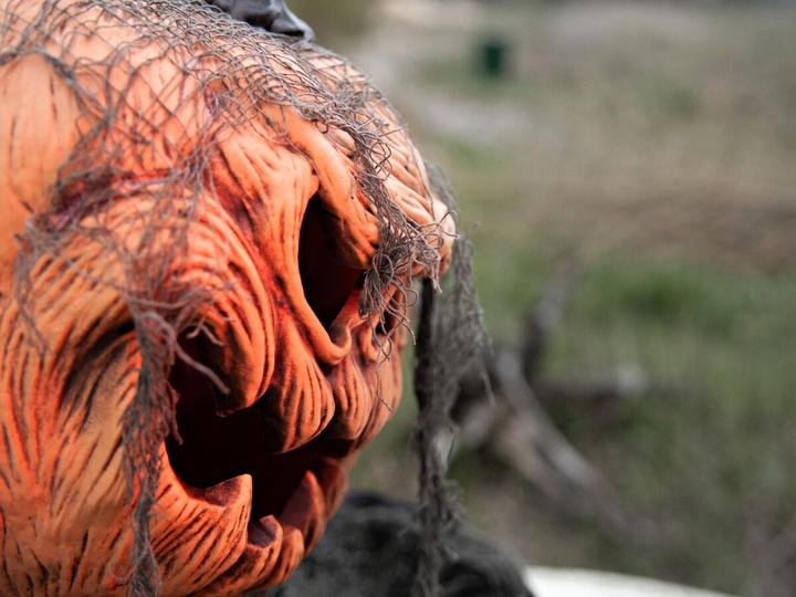 Actual product image Europalms Halloween pumpkin monster