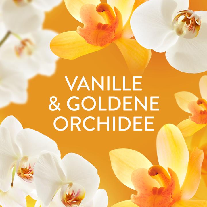 Produktbild Lenor Goldene Orchide (22 Waschgänge, Wäscheperlen)