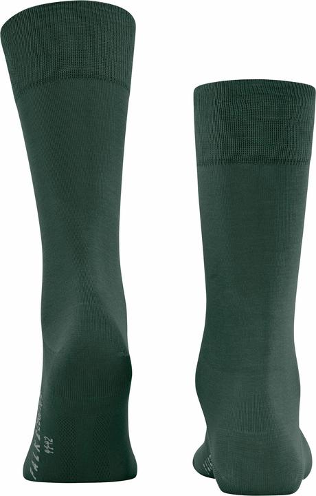 Immagine prodotto Falke Cool 24/7 (Confezione singola, 41 - 42)