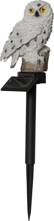 Actual product image Star Trading Owl (IP44)