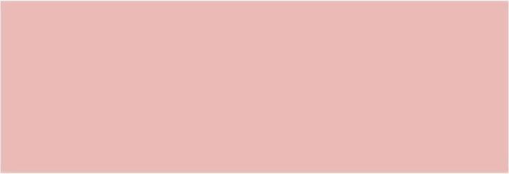 Productafbeelding Clarins Lip Perfector nr. 01 (Nr. 01 - Reflet Rose)