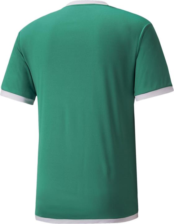 Actual product image Puma teamLIGA Jersey-704917 (XL)