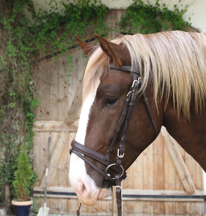 Actual product image Kerbl Snaffle bridle