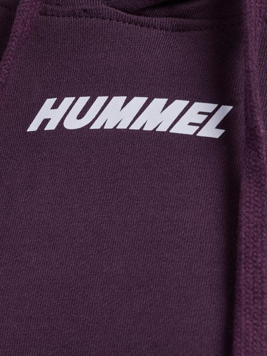 Actual product image hummel Hmlelemental Short Hoodie Woman (XL)
