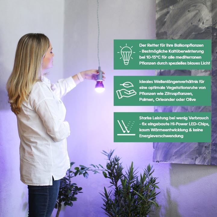 Immagine prodotto Venso Cresce l'inverno leggero (LED, 245 V)