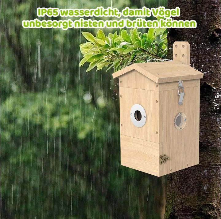 Image du produit Sanilu Clean Sanilu Vogel Nistkasten mit Kamera, Tierart: Vogel, Produkttyp