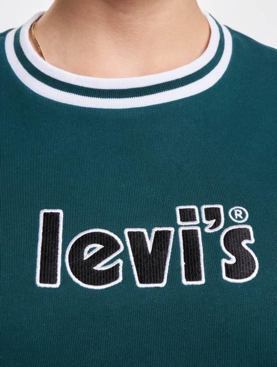 Actual product image Levis Graphic Prism Sweater - 87165 (XXS)