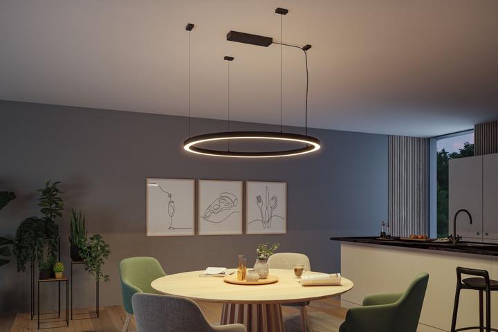 Image du produit Paulmann Système de conduit de lumière Linion Conduit de lumière (1400 lm)