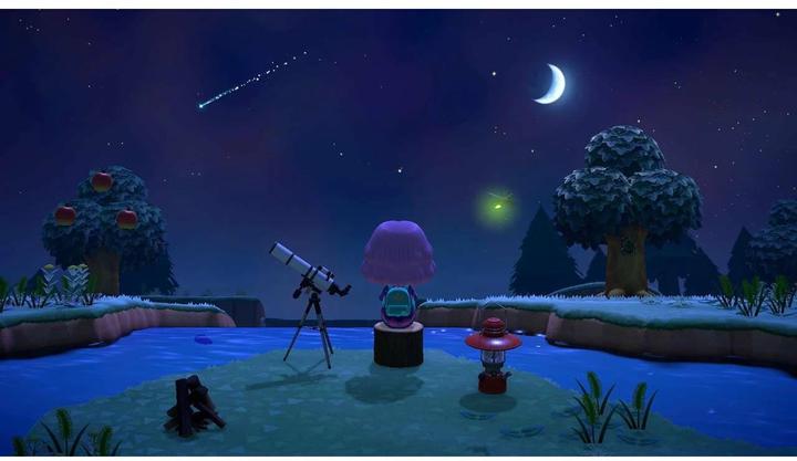 Immagine prodotto Nintendo Animal Crossing: New Horizons (Switch, Multilingue)