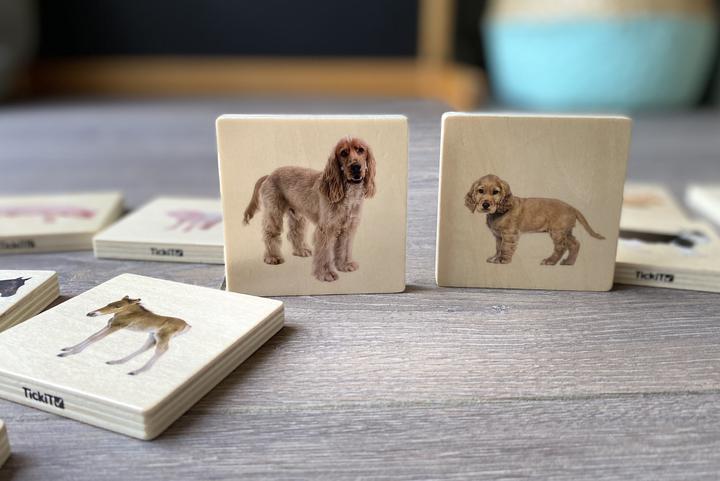 Image du produit TickiT Jeu de paires d'images d'animaux domestiques (Mémo) en bois (28 pièces) (Français, Allemand, Anglais, Italien)