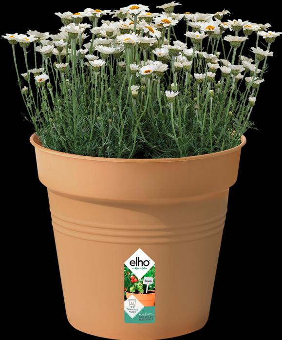 Produktbild Elho Green Basic (30 cm)