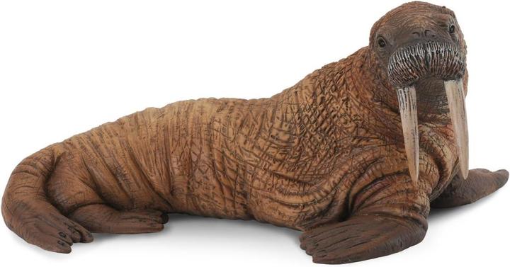 Immagine prodotto Animal Planet Tricheco