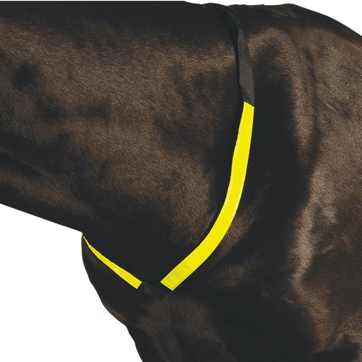 Roma Reflective breastplate