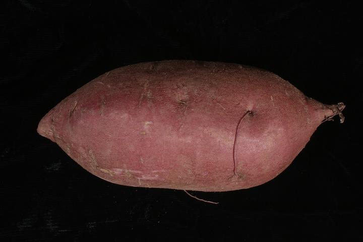 Produktbild Lubera Süsskartoffel Burgundy