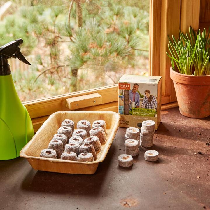 Produktbild Siena Garden Pikierschale