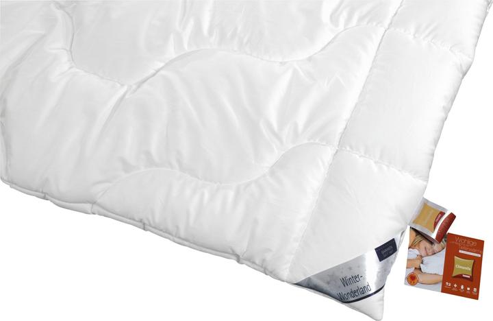 Produktbild Garanta Duo-Steppbett extra warm (1750 g, 155 x 220 cm)