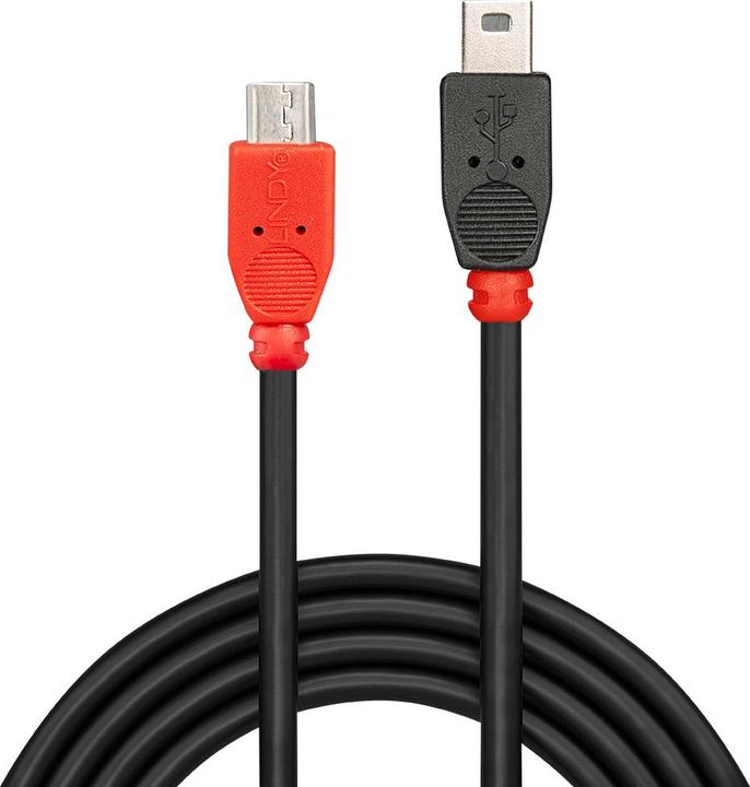 Image du produit Lindy Câbles USB (0.50 m, USB 2.0)