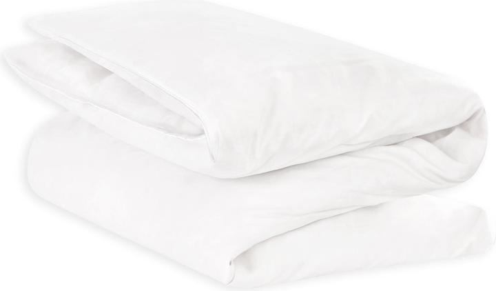 Actual product image Julius Zöllner Quilt, feather/down (400 g, 80 x 80 cm)