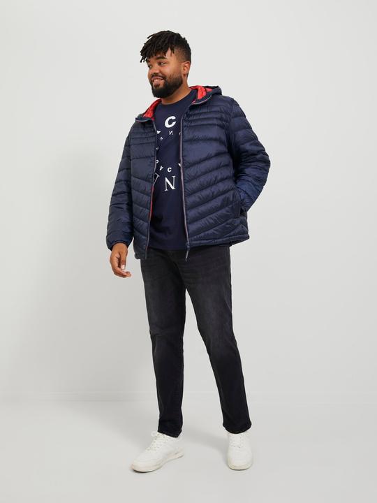 Immagine prodotto Jack & Jones Jeans Glenn Fox GE 147 Plus Size Slim Fit (46)