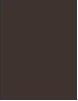 Actual product image Shiseido MicroLiner Ink (Brown)