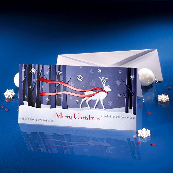 Image du produit Sigel Winter's Eve (10 pcs)