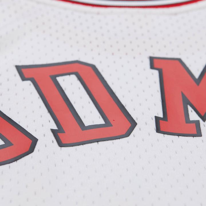Actual product image Mitchell & Ness Swingman Mesh Jersey Chicago Bulls 1997 Dennis Rodman - L (L)