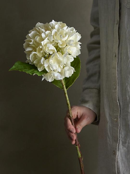 Produktbild Bloomingville Hydrangea (56 cm)