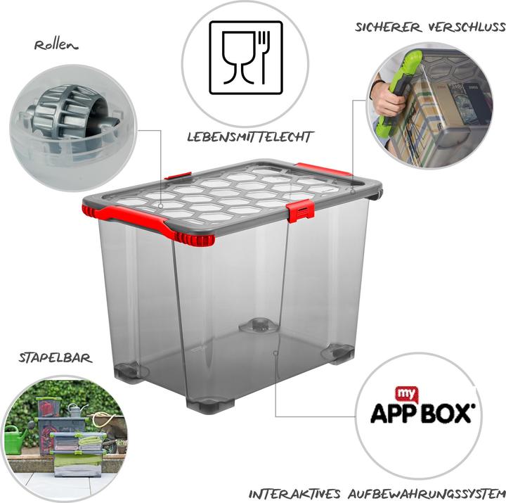 Produktbild Rotho Evo Total (59 x 39.5 x 41 cm, 65 l)