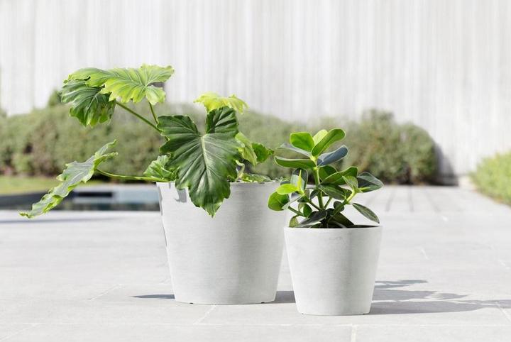 Produktbild Ecopots Amsterdam (26.30 cm)