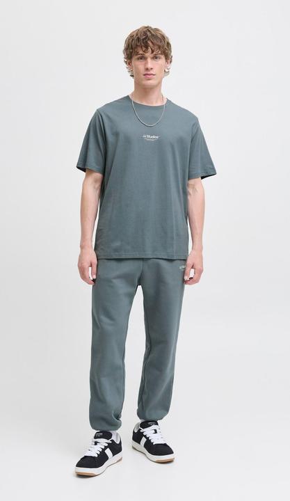 Actual product image Jack & Jones Jjesoho Tee Ss Crew Neck Noos (L)