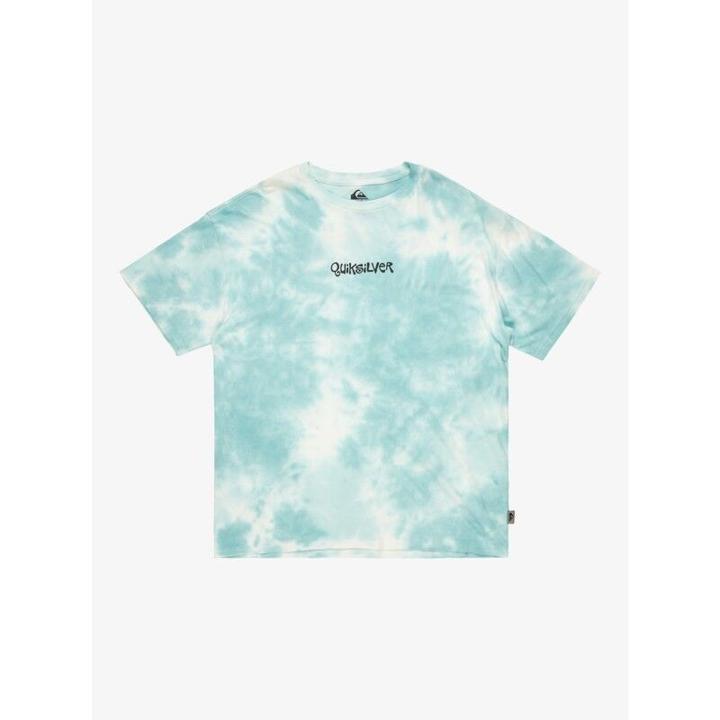 Quiksilver TD Frog Ritual S/S Tee