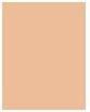 Immagine prodotto MAC Cosmetics Studio Fix Fluid (NC15)