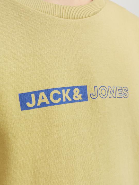 Immagine prodotto Jack & Jones Felpa stampata con collo rotondo Per i ragazzi Felpa con collo rotondo (176)