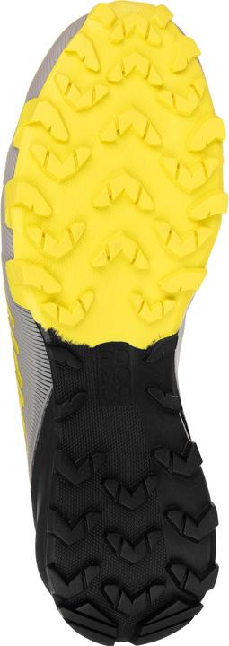 Produktbild Dynafit Traverse (47)