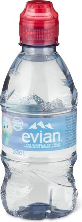 Image du produit Evian Eau minérale PET (1 x 50 cl)