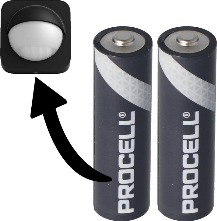 Image du produit Duracell Pile Philips HUE Motion Outdoor Sensor (2 pcs, AA)