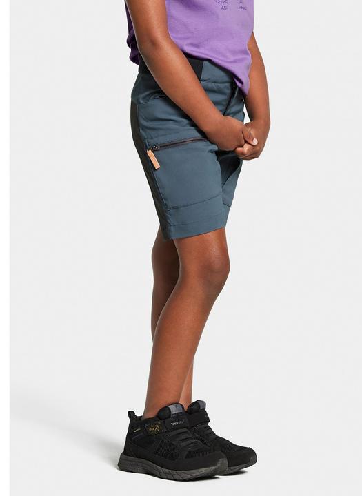 Actual product image Didriksons Kid's Ekoxen Shorts 2 (110)