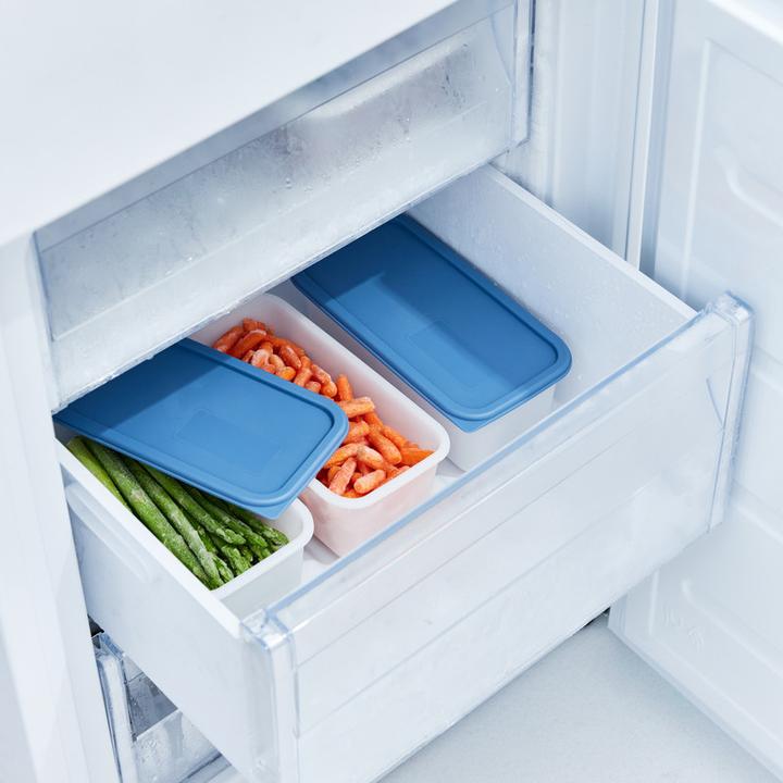 Actual product image Rotho Domino (1.20 l)
