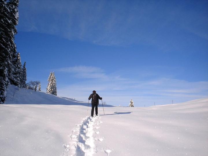 Immagine prodotto Settimana delle escursioni con le racchette da neve