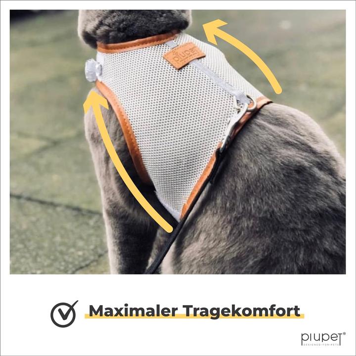 Produktbild PiuPet Katzengeschirr (One Size, Katze, Allgemein)