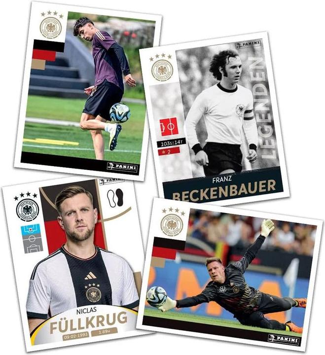 Actual product image Panini DFB Deutschland 2024 und die Besten aus Europa Sticker Collection Display (50) *German Version* (German)