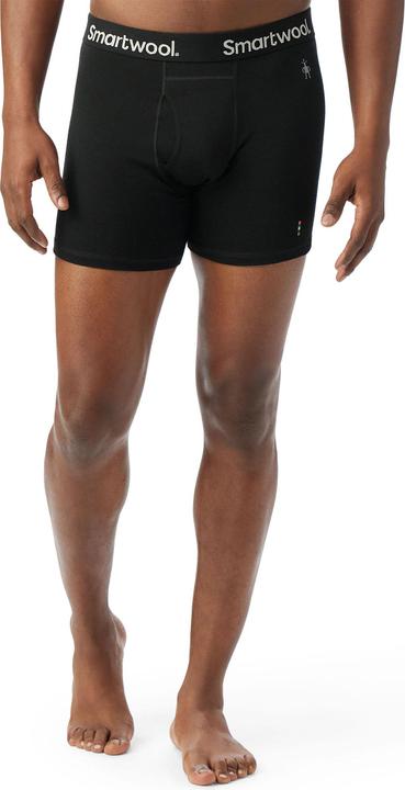 Image du produit Smartwool Ms Merino Boxer Brief (S)