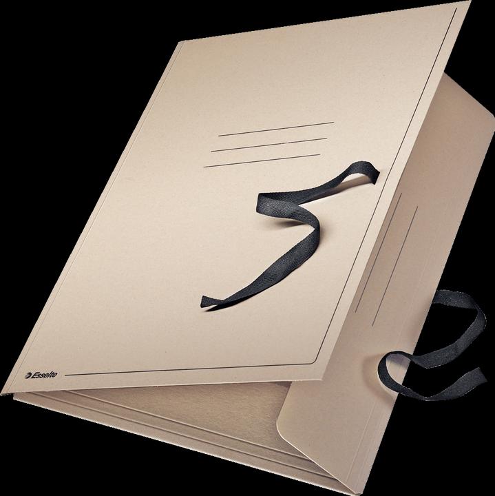 Image du produit Leitz Classeur à dessins Esselte (A3, 1 x)