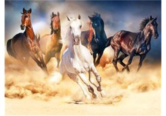 Immagine prodotto Magni Diamante che dipinge cavalli al galoppo