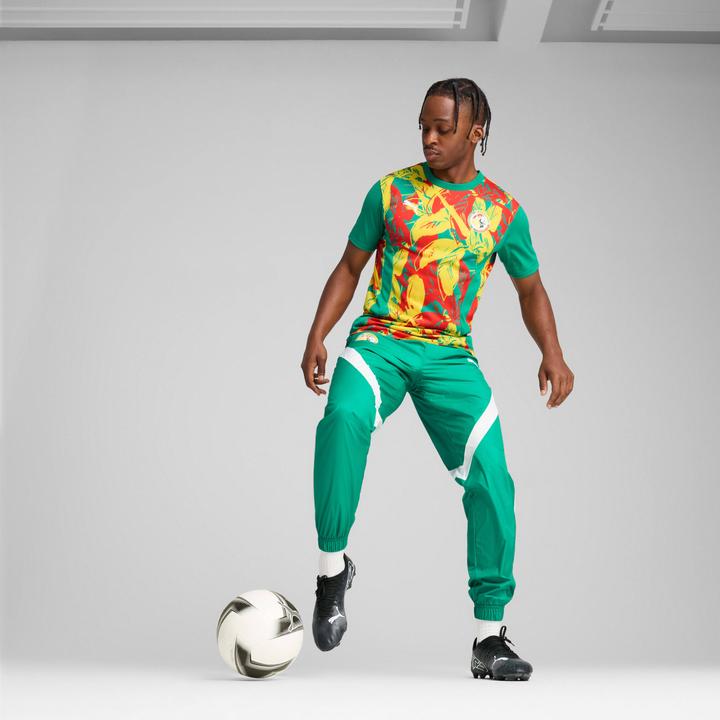 Produktbild Puma voranstosstrikot sénégal 2024 (M)