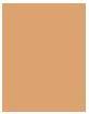 Image du produit MAC Cosmetics Studio Radiance Face And Body Radiant Sheer Foundation (N3)